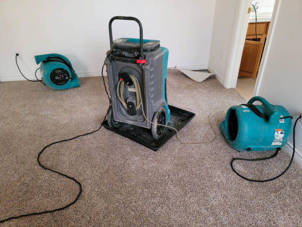 Best Ceiling water damage repair  in Magnolia, OH