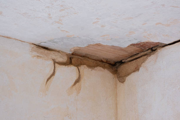 Best Emergency water damage restoration  in Magnolia, OH