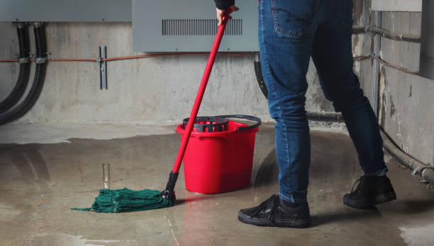 Best Flood restoration services  in Magnolia, OH