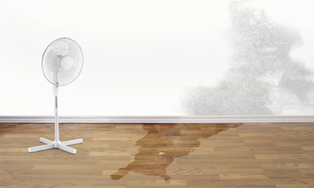 Professional Water damage restoration in Magnolia, OH