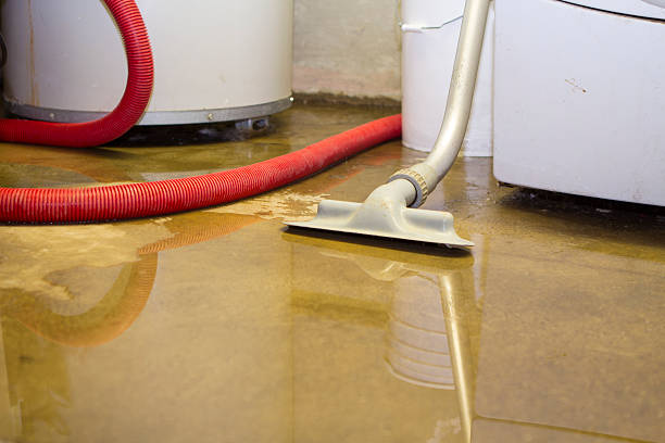 Best Local water damage restoration  in Magnolia, OH