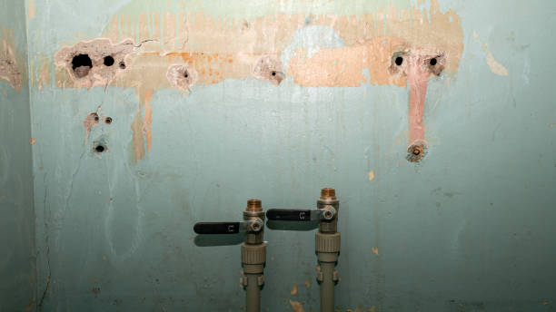 Best Professional water damage repair  in Magnolia, OH