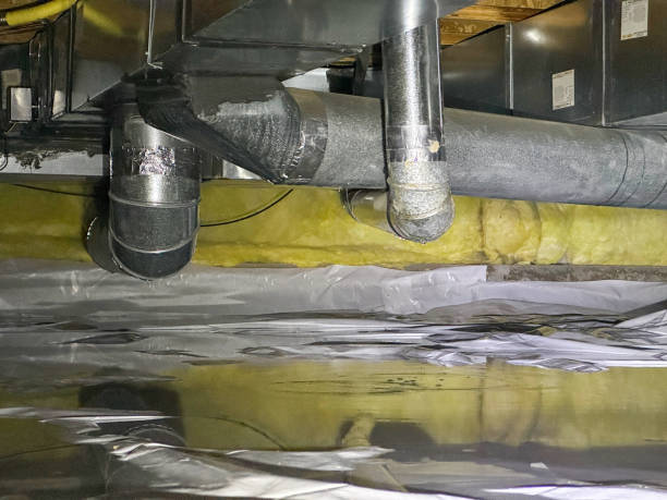 Best Water damage cleanup near me  in Magnolia, OH