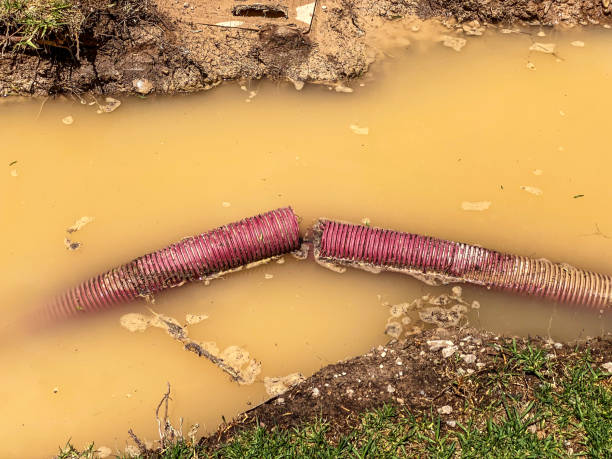  Magnolia, OH Water damage restoration Pros
