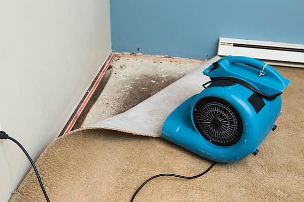 Best Water damage cleanup near me  in Magnolia, OH